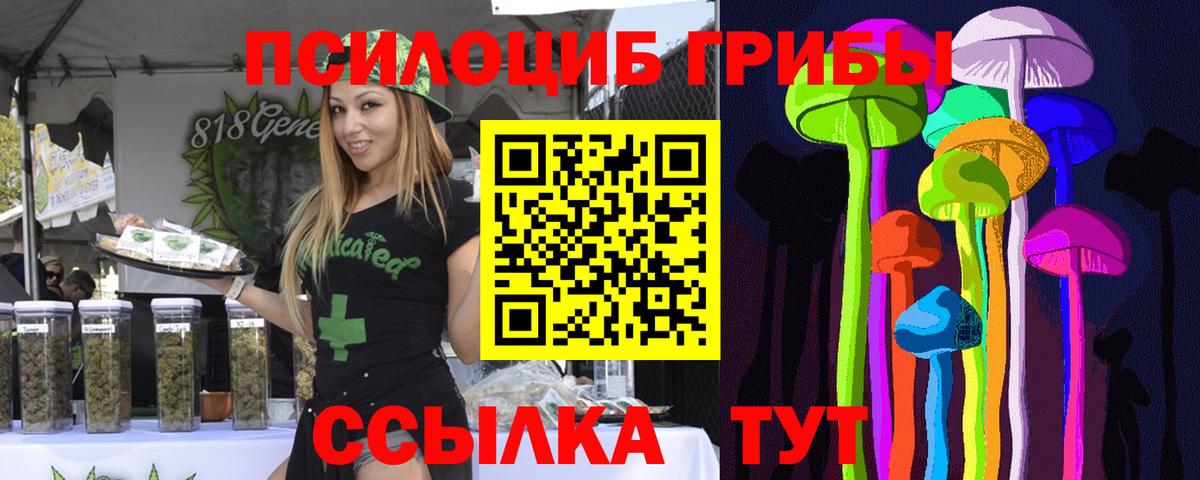 Псилоцибиновые грибы Psilocybe  где купить наркоту  Фрязино  Вход с VPN 